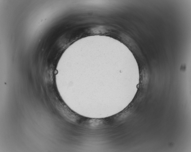 X0000111490762200908251025