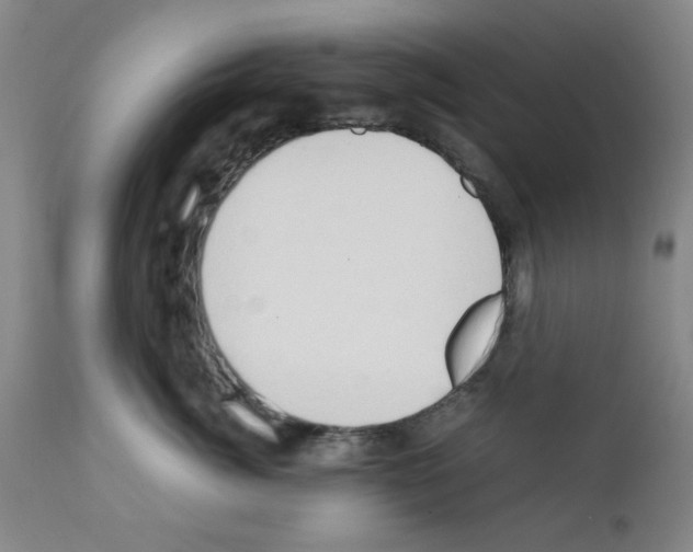 X0000111490764200908251025