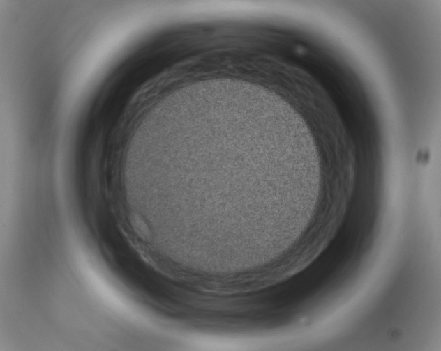 X0000111490766200908251026