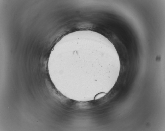 X0000111490767200908251026
