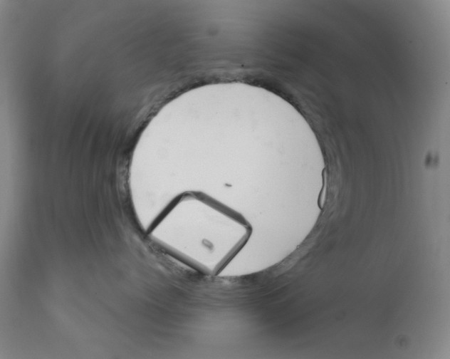 X0000111490768200908251026