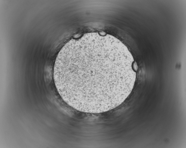 X0000111490772200908251025