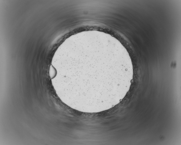 X0000111490775200908251025