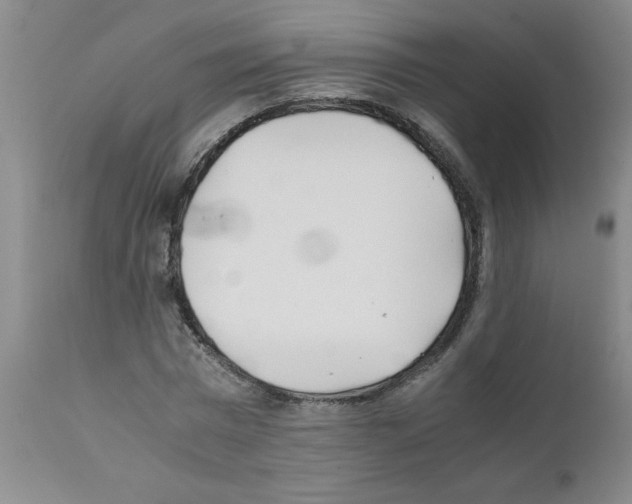 X0000111490777200908251025
