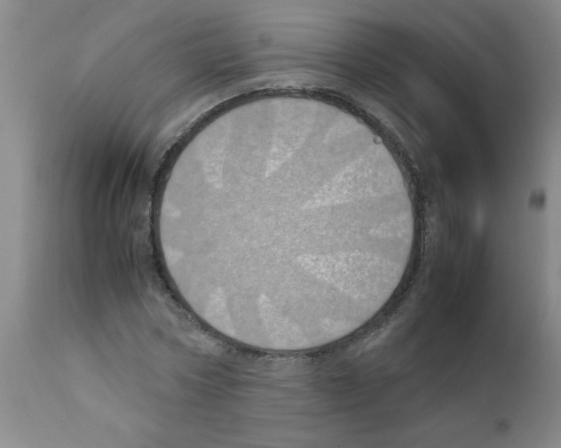 X0000111490778200908251025