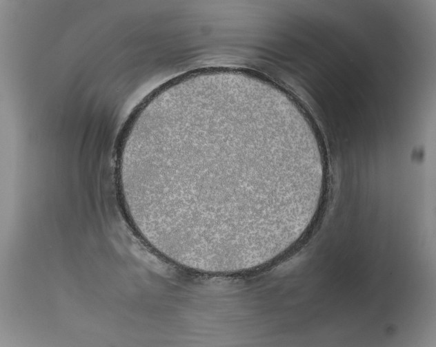 X0000111490779200908251025