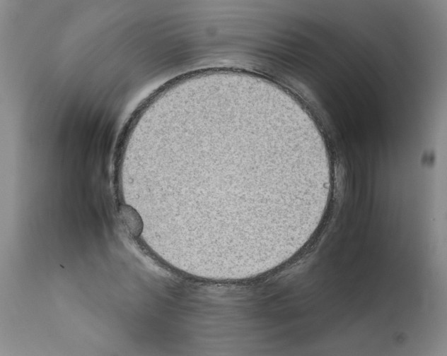 X0000111490780200908251025