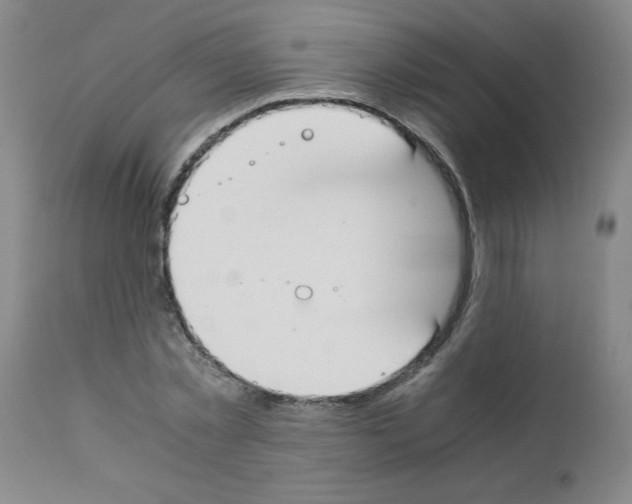 X0000111490781200908251025