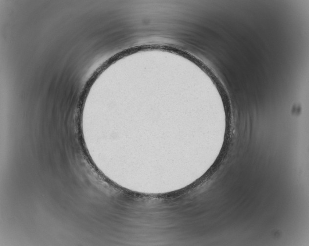 X0000111490783200908251025