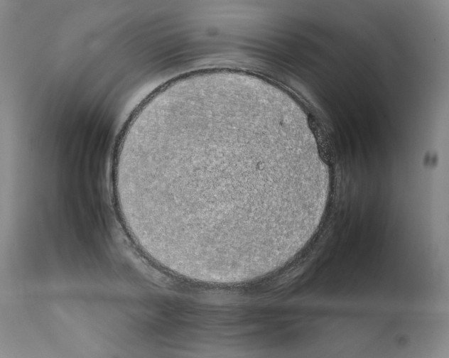 X0000111490788200908251025