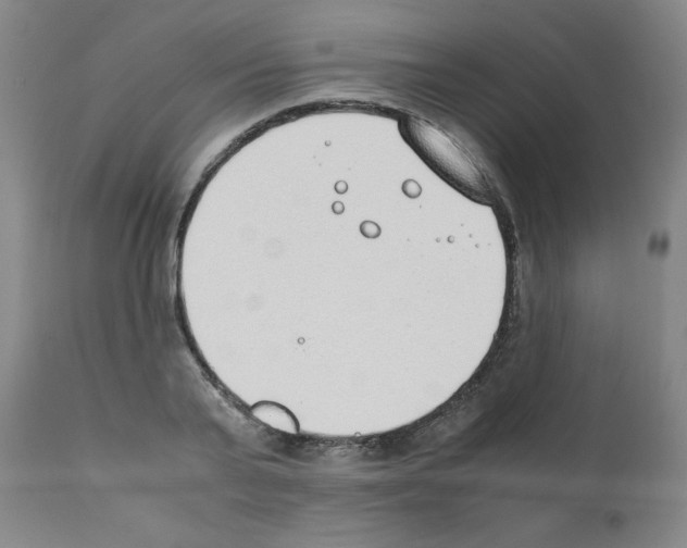 X0000111490791200908251025