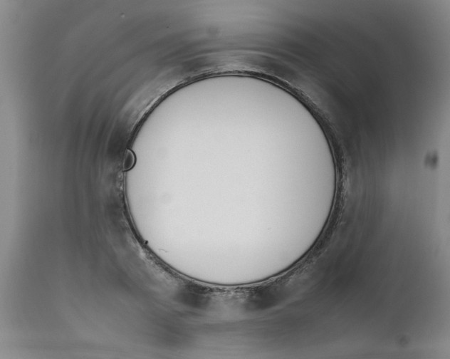 X0000111490793200908251025