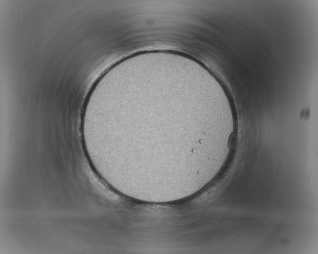 X0000111490797200908251024