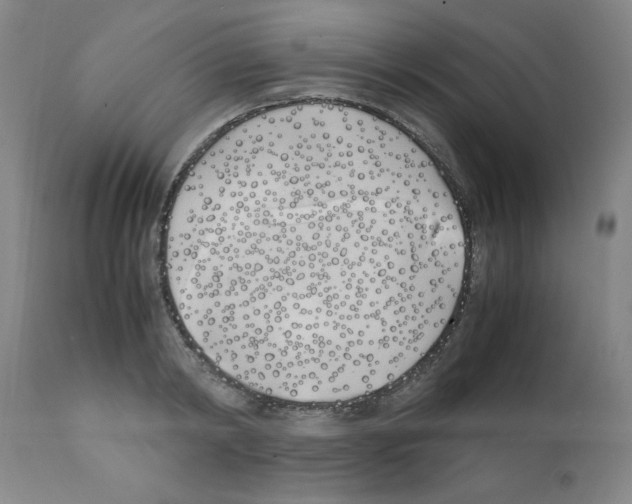 X0000111490798200908251024