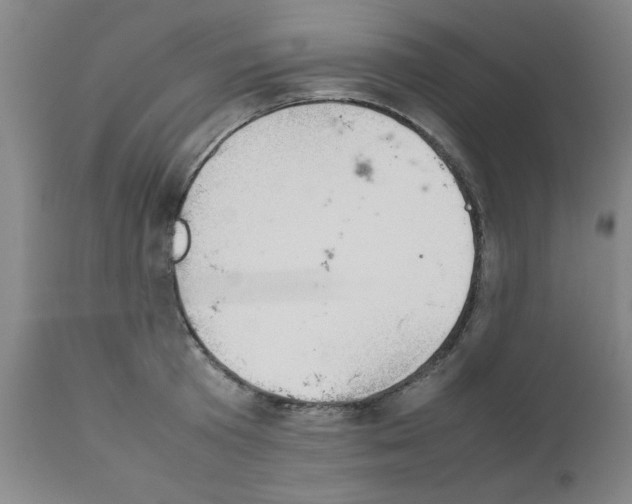 X0000111490801200908251024