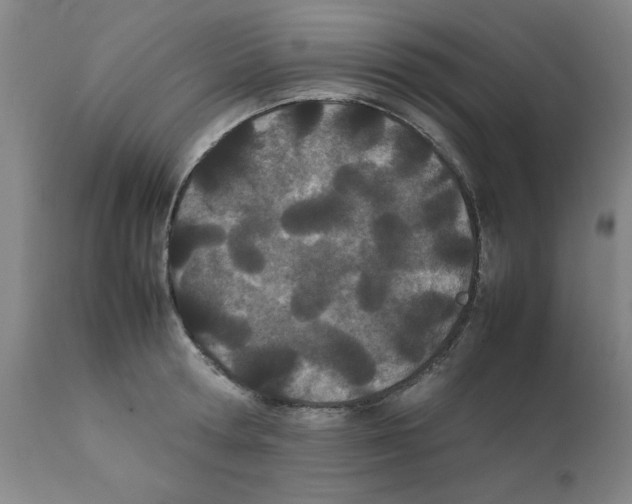 X0000111490802200908251024