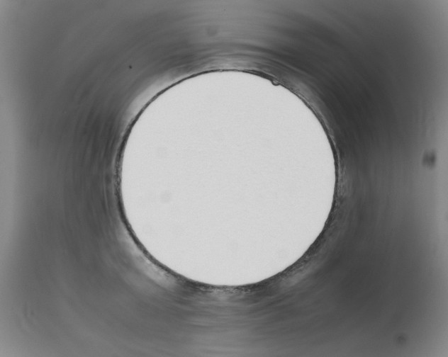 X0000111490803200908251024