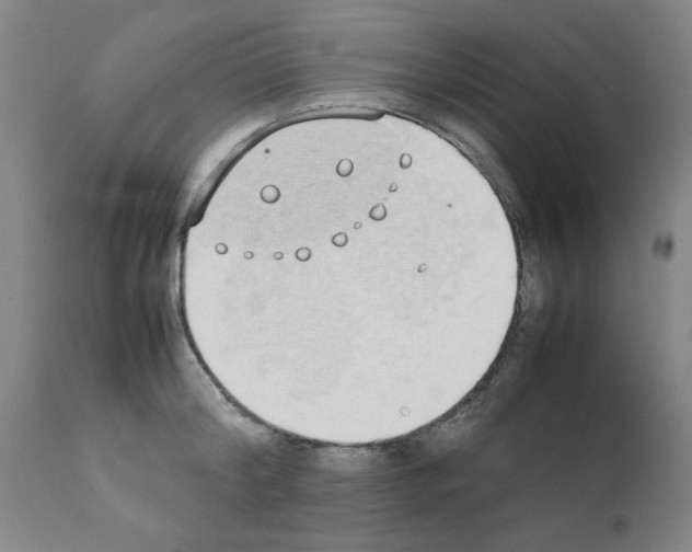 X0000111490804200908251024