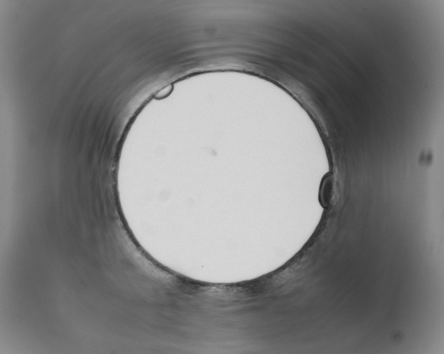 X0000111490805200908251024