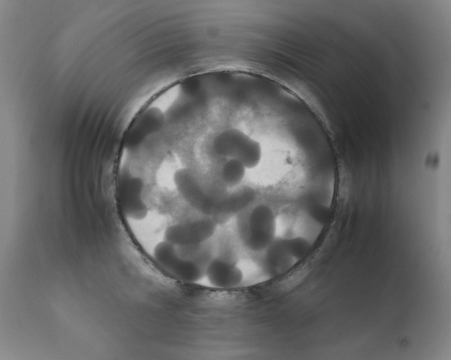 X0000111490806200908251024