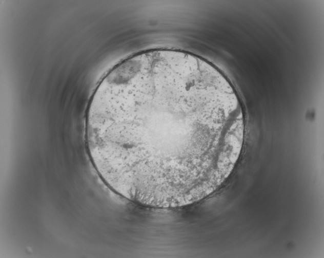 X0000111490807200908251024