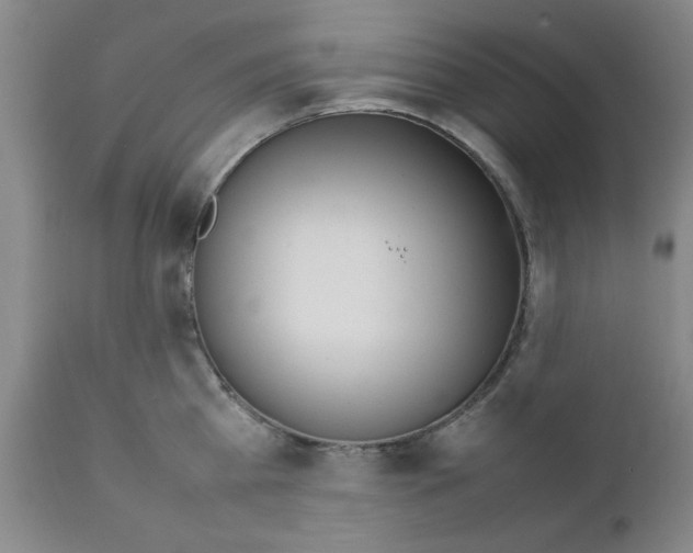 X0000111490809200908251024