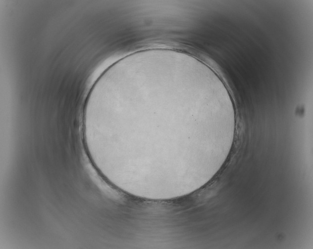 X0000111490811200908251024