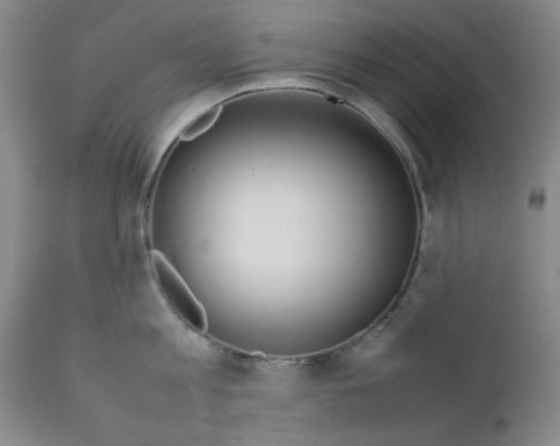 X0000111490813200908251024