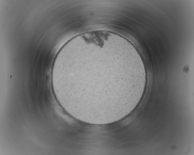 X0000111490814200908251024