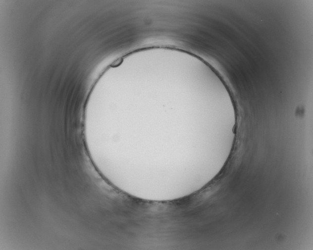 X0000111490815200908251024