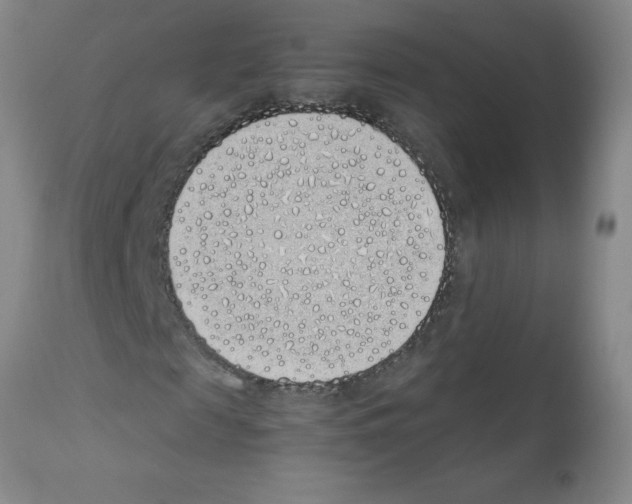 X0000111490817200908251024