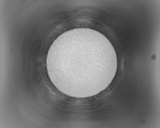 X0000111490819200908251024