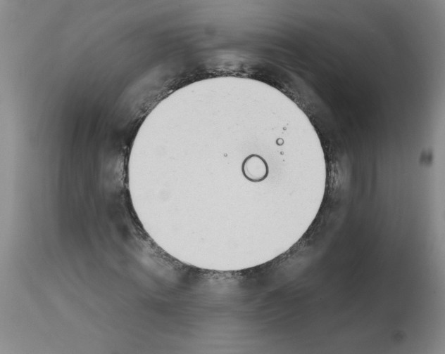 X0000111490820200908251024