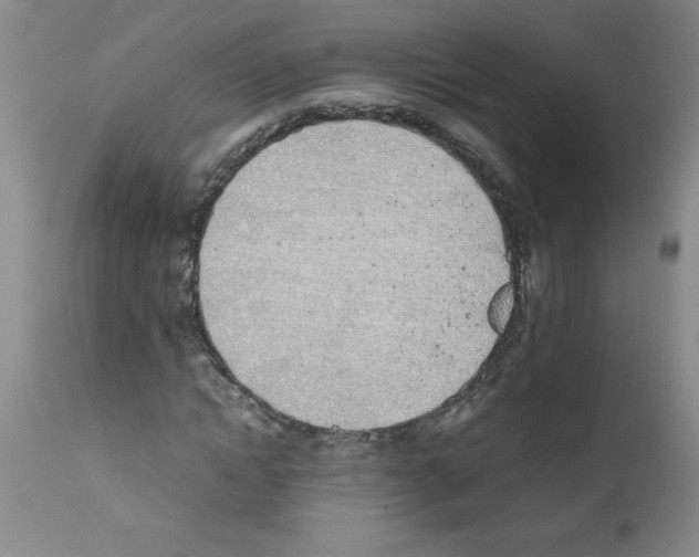 X0000111490822200908251024