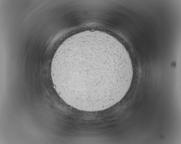 X0000111490823200908251024