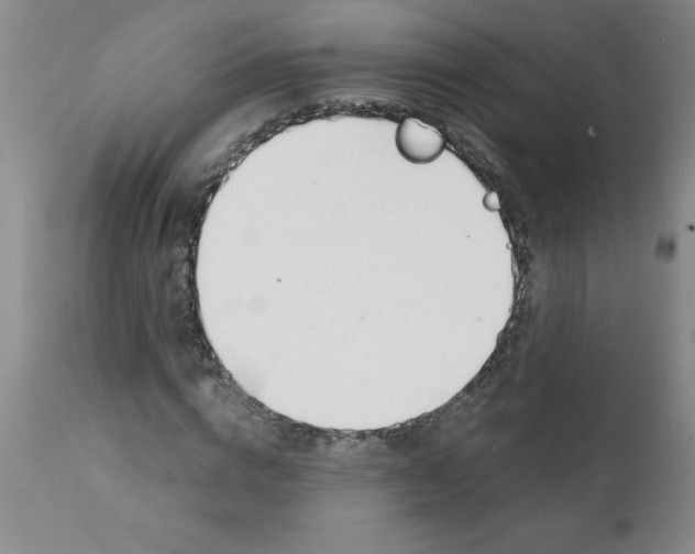X0000111490824200908251024