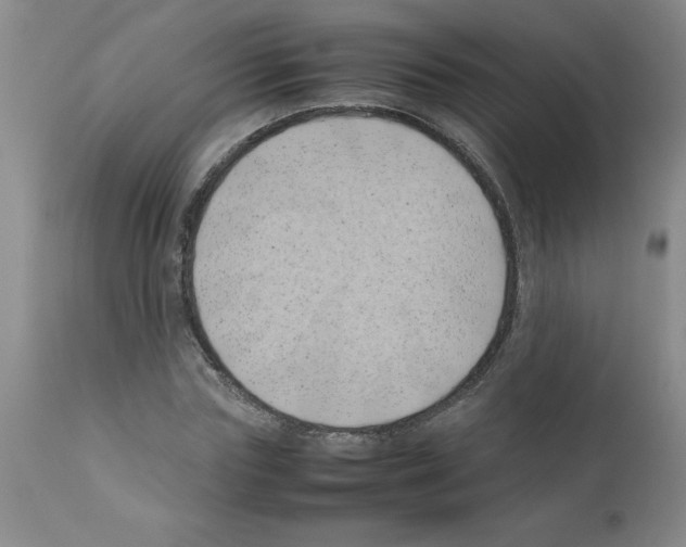 X0000111490827200908251024