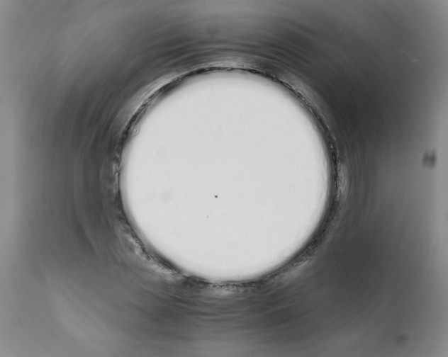 X0000111490829200908251024