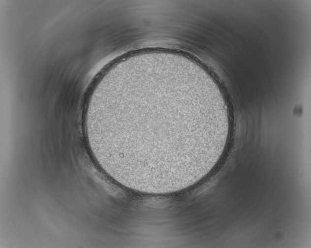 X0000111490830200908251024