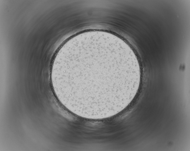 X0000111490837200908251024