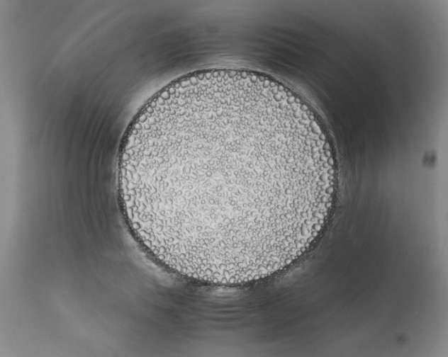 X0000111490839200908251024