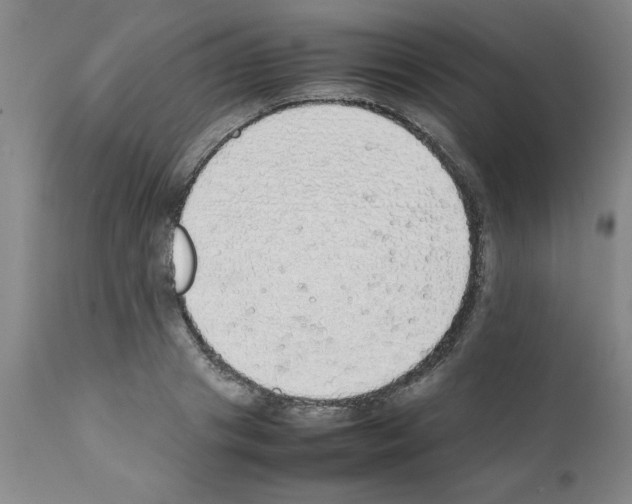 X0000111490841200908251024