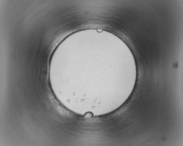 X0000111490844200908251024