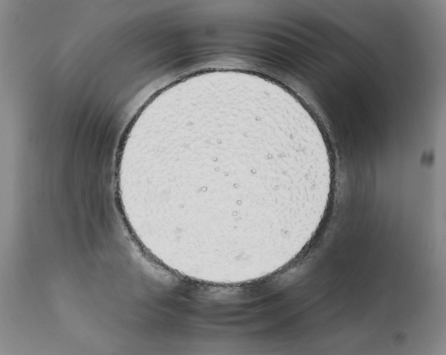 X0000111490845200908251024