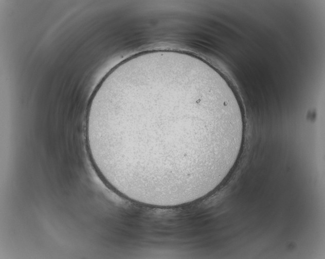 X0000111490847200908251024