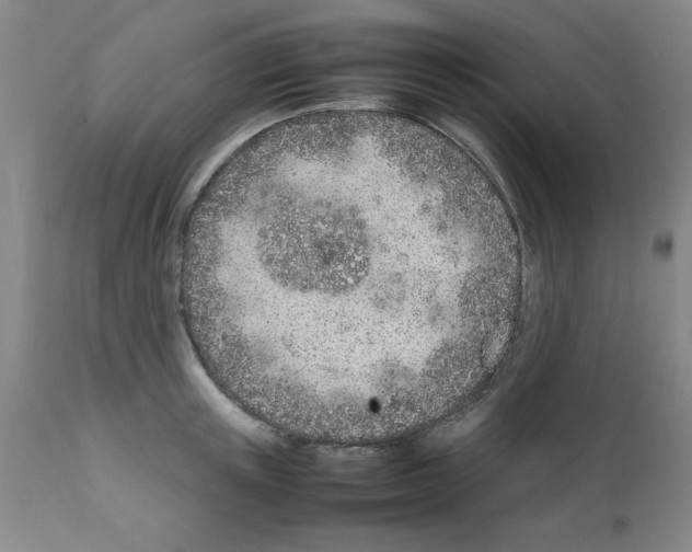 X0000111490851200908251024