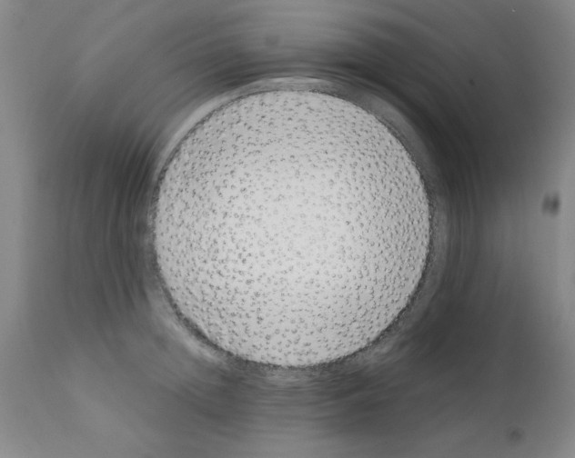 X0000111490852200908251024