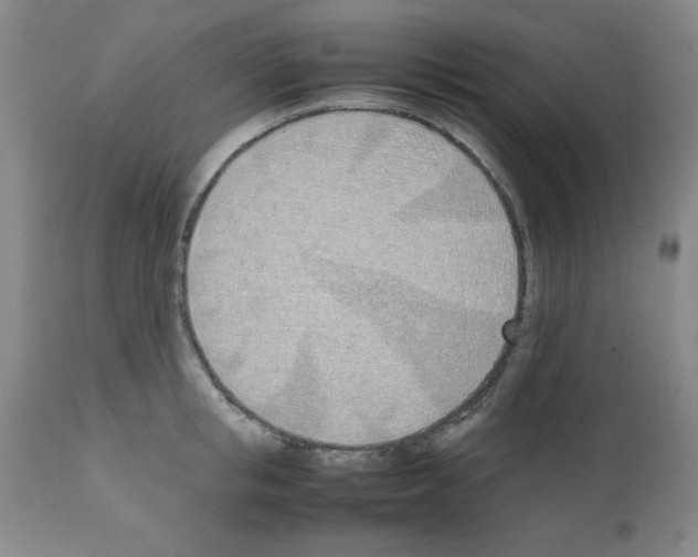 X0000111490853200908251024