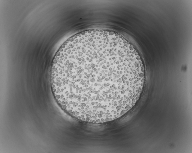 X0000111490855200908251024