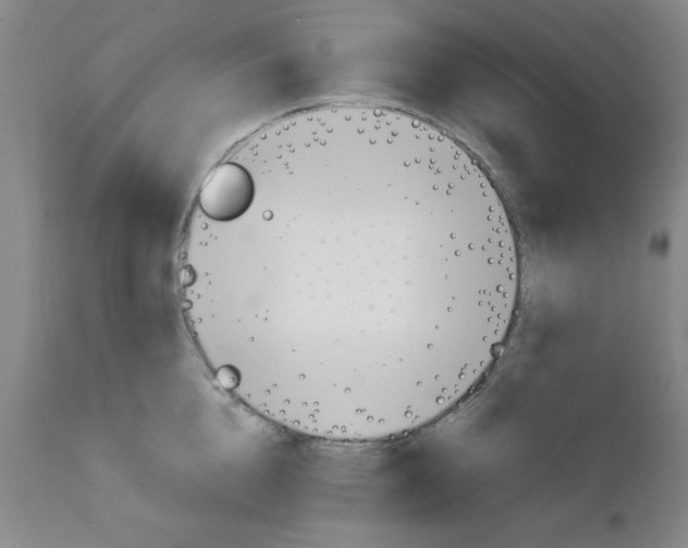 X0000111490856200908251024